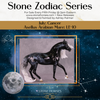 &quot;Asellus&quot; LE-10 EFCM Arabian Mare by Ashley Palmer ZS25
