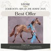 &quot;Daphne&quot; OOAK EFCM Arabian Yearling by Renee Justiss/Ellie Figment Best Offer EQ25 07/15/25