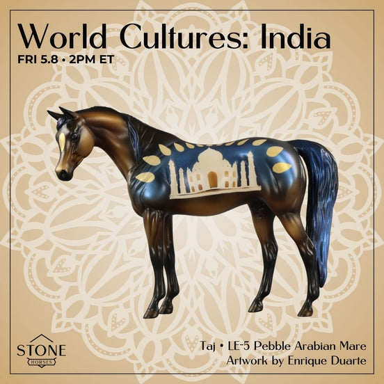 Taj LE-5 Pebble Arabian Mare by Enrique Duarte WC26