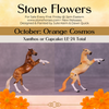 Xanthos or Cupcake LE-24 FCM Chip Rearing Horse By Julie Keim or Dawn Quick FS25