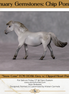 "Snow Cone" OOAK Custom Light Grey w/ Snip Pony Chip By Kristen Cermele - Gemstone Series