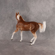 Haunted House OOAK FCM Arabian Mare by Ellen Robbins DDOOAKs26
