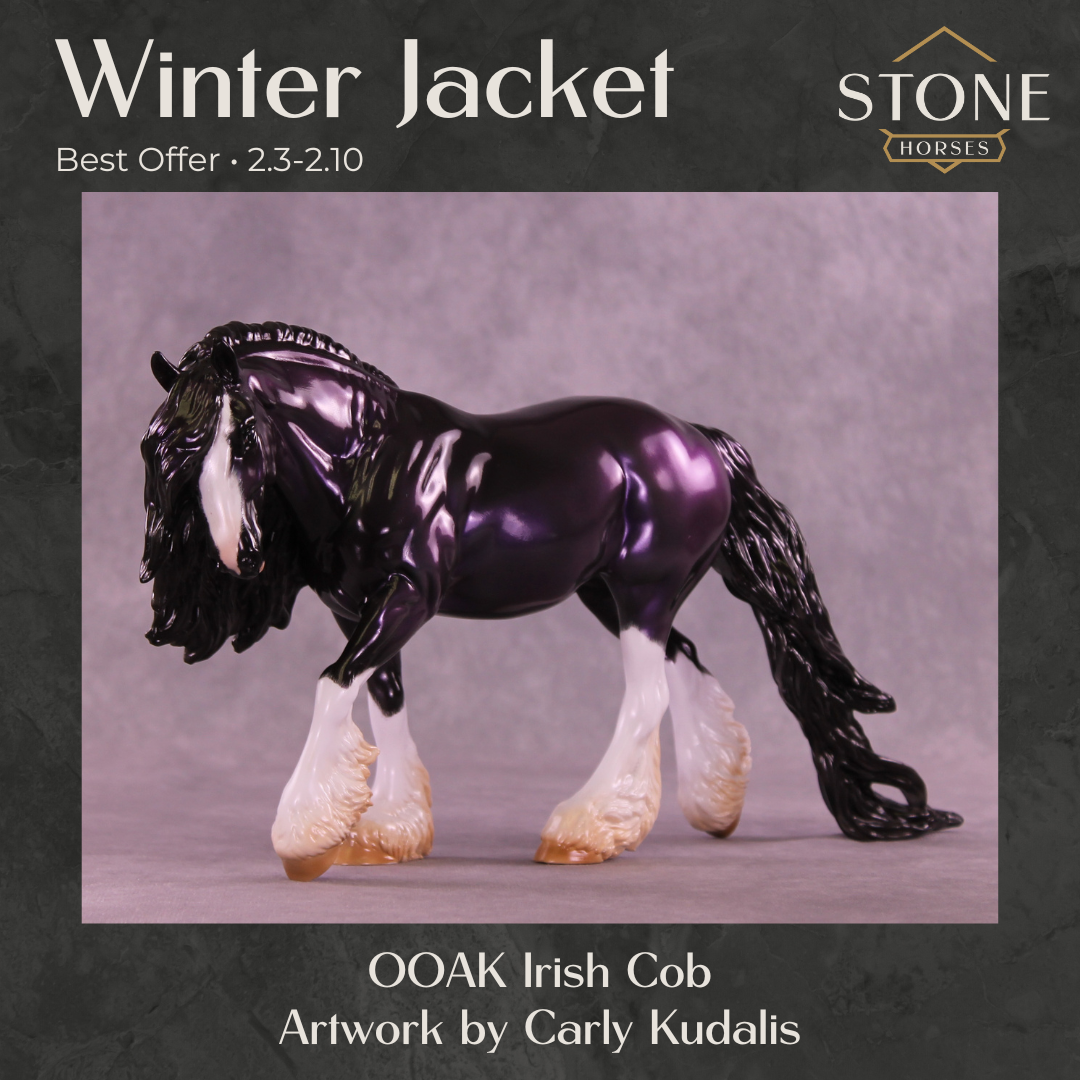 Winter Jacket OOAK Irish Cob by Carly Kudalis Best Offer 2.3.2026