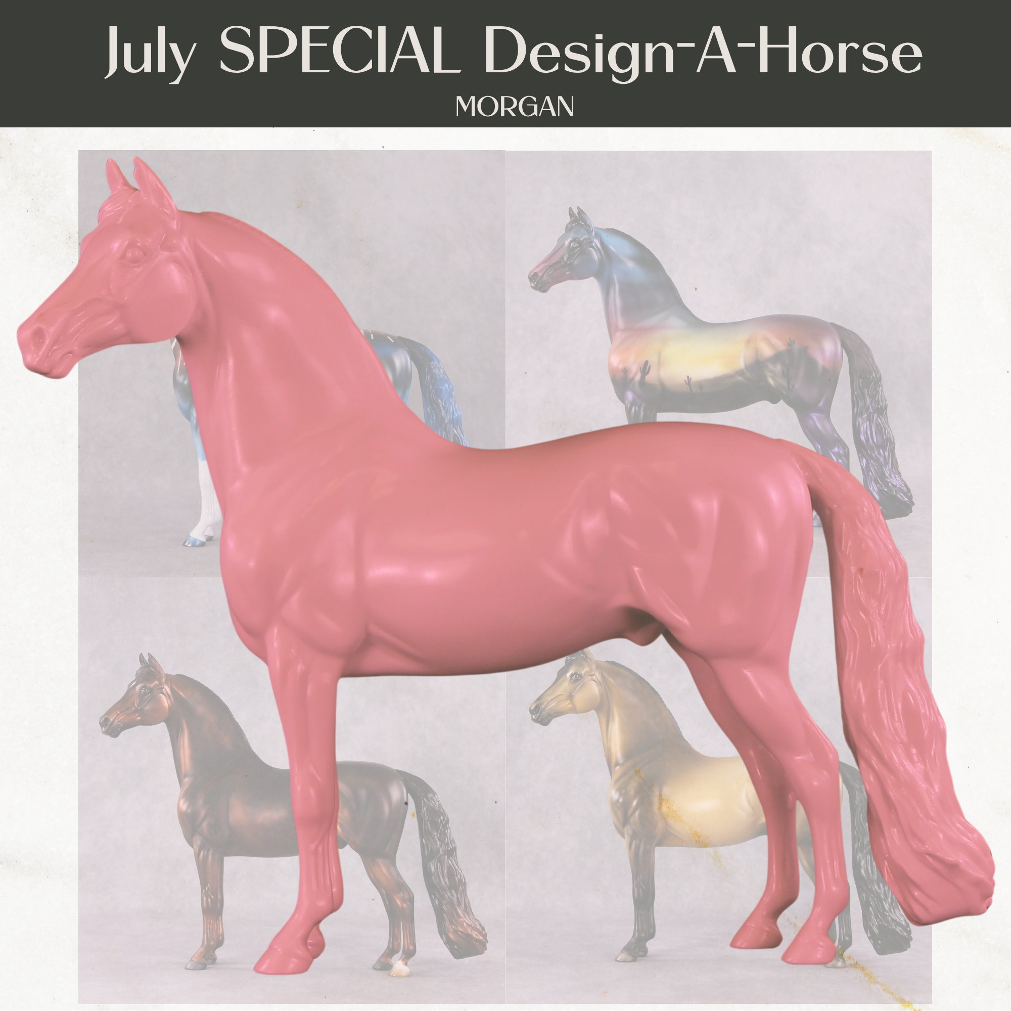 Stone Horses July Design-A-Horse Special Design Morgan SDAH25