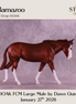 Kalamazoo OOAK FCM Large Mule by Dawn Quick DDOOAKs26