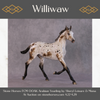 &quot;Williwaw&quot; Best Offer Custom OOAK Arabian Yearling by Sheryl Leisure 4/29/2025