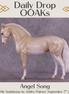Angel Song OOAK FCM Andalusian by Ashley Palmer DDOOAKs25