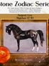 "Algieba" LE-10 EFCM Andalusian by Ashley Palmer ZS25