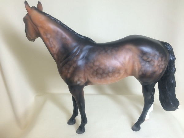 KILKEE - OOAK Star Dapple Sooty Bay Stock Horse 3/15