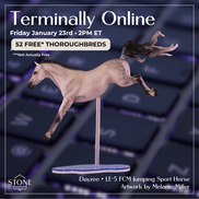 Dayzie LE-5 FCM Jumping Sport Horse by Melanie Miller TO26
