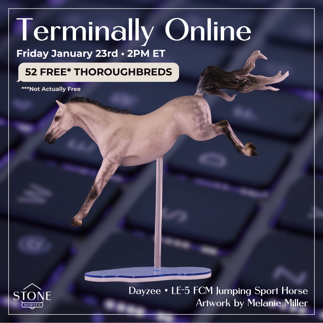 Dayzie LE-5 FCM Jumping Sport Horse by Melanie Miller TO26