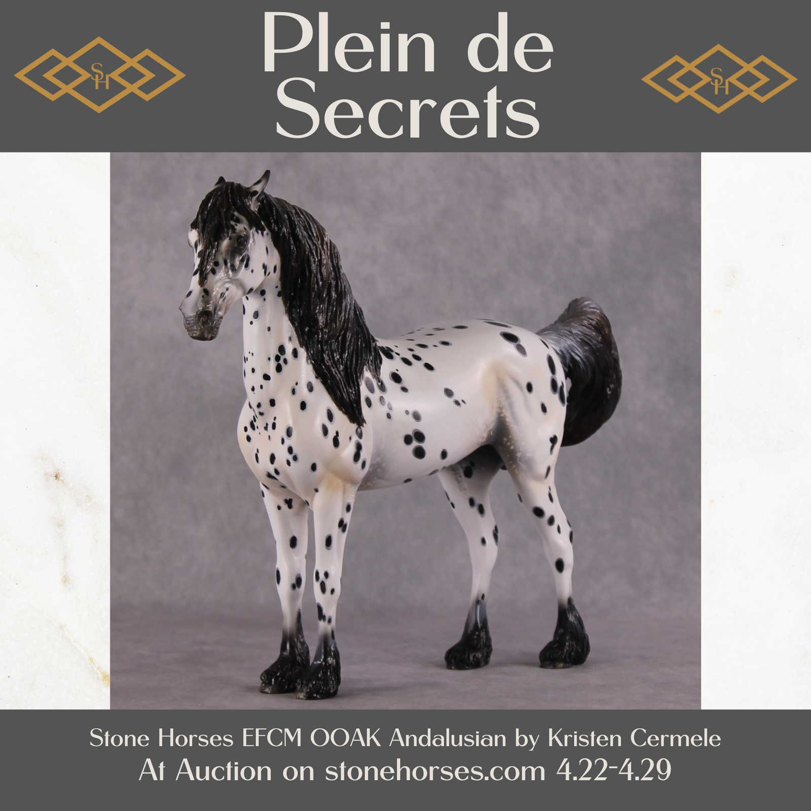"Plein de Secrets" EFCM Glossy Andalusian By Kristen Cermele