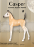 Casper LE-15 Arabian Foal by Jess Hamill HM26