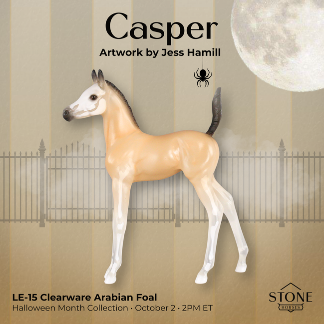 Casper LE-15 Arabian Foal by Jess Hamill HM26