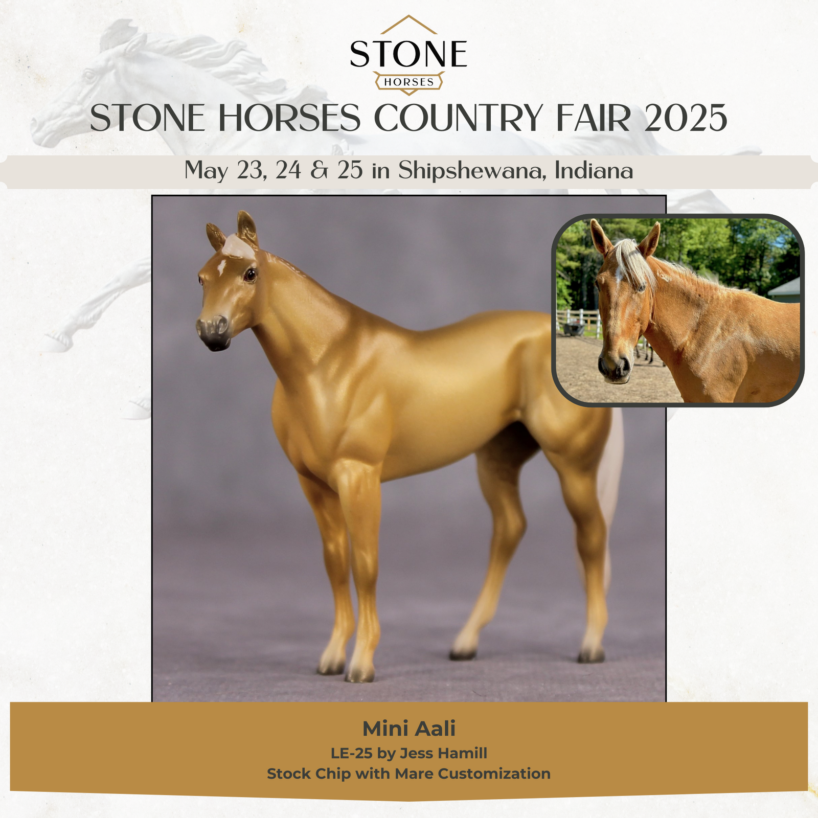 "Mini Aali" LE-11 FCM Stock Chip By Jess Hamill SHCF25 Dinner Model