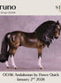 Bruno OOAK Andalusian by Dawn Quick DDOOAKs26