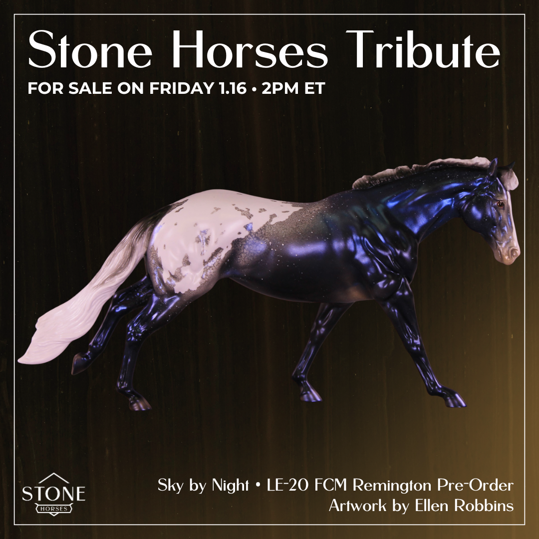 Sky by Night LE-20 FCM Remington by Ellen Robbins TS26