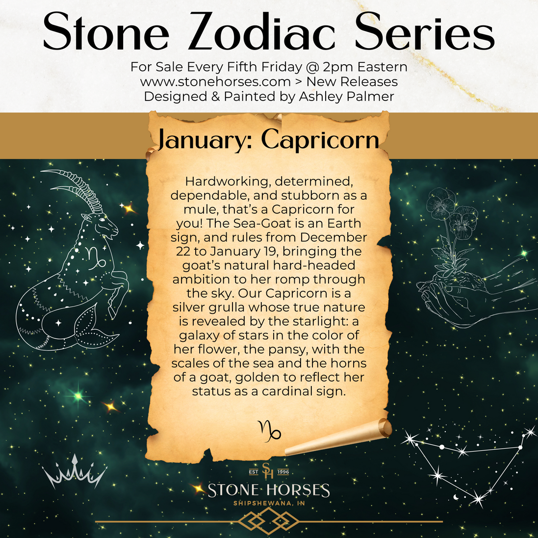 "Alikdora" LE-10 Purple Stars & Nebula Deco Mule By Ashley Palmer Zodiac Series: Aquarius ZS25