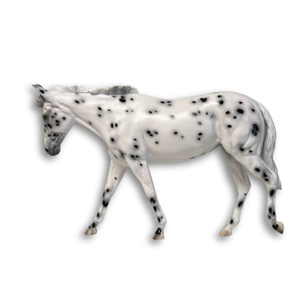 Gracie SAMPLE Appaloosa Pebble Mule By Jess Hamill EQ24 From the AotH 3D Art Entry By Kristy Thiessen SS1024