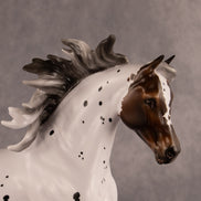 Pas de Cheval LE-6 FCM Harmony by Ashley Palmer EQ26