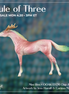 Mini Ren LE-5 EFCM Chip Arabian by Jess Hamill & Carissa Mathews Ro326