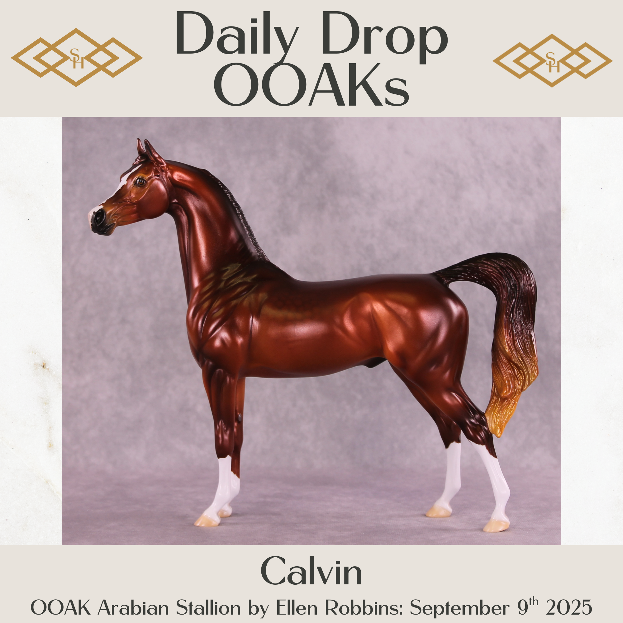 Calvin OOAK Arabian Stallion by Ellen Robbins DDOOAKs25