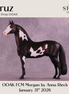 Cruz OOAK FCM Morgan by Anna Rieck DDOOAKs26