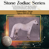 Spica LE-10 FCM Ideal Stock Horse by Ashley Palmer ZS25