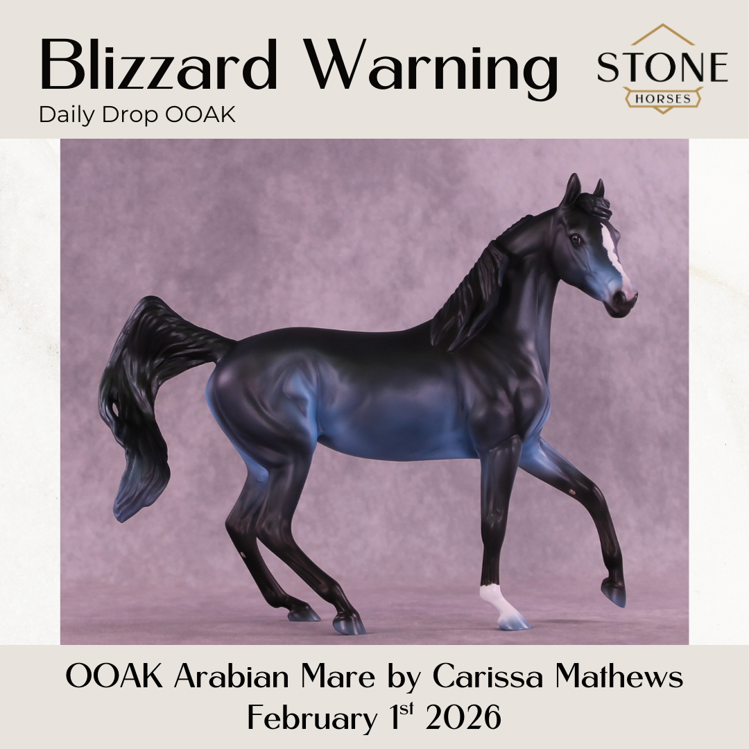 Blizzard Warning OOAK FCM Arabian Mare by Carissa Mathews DDOOAKs26