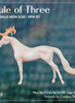 Mini Aki LE-5 EFCM Chip Arabian by Carissa Mathews Ro326