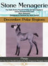 Pingu LE-3 Chip Foal by Jess Hamill MS25