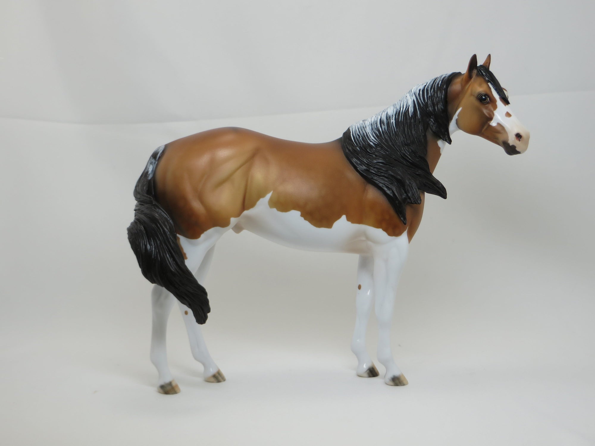 REAGAN - Dapple Frosty Dun Paint Stock Horse LE5 2/15