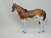 REAGAN - Dapple Frosty Dun Paint Stock Horse LE5 2/15