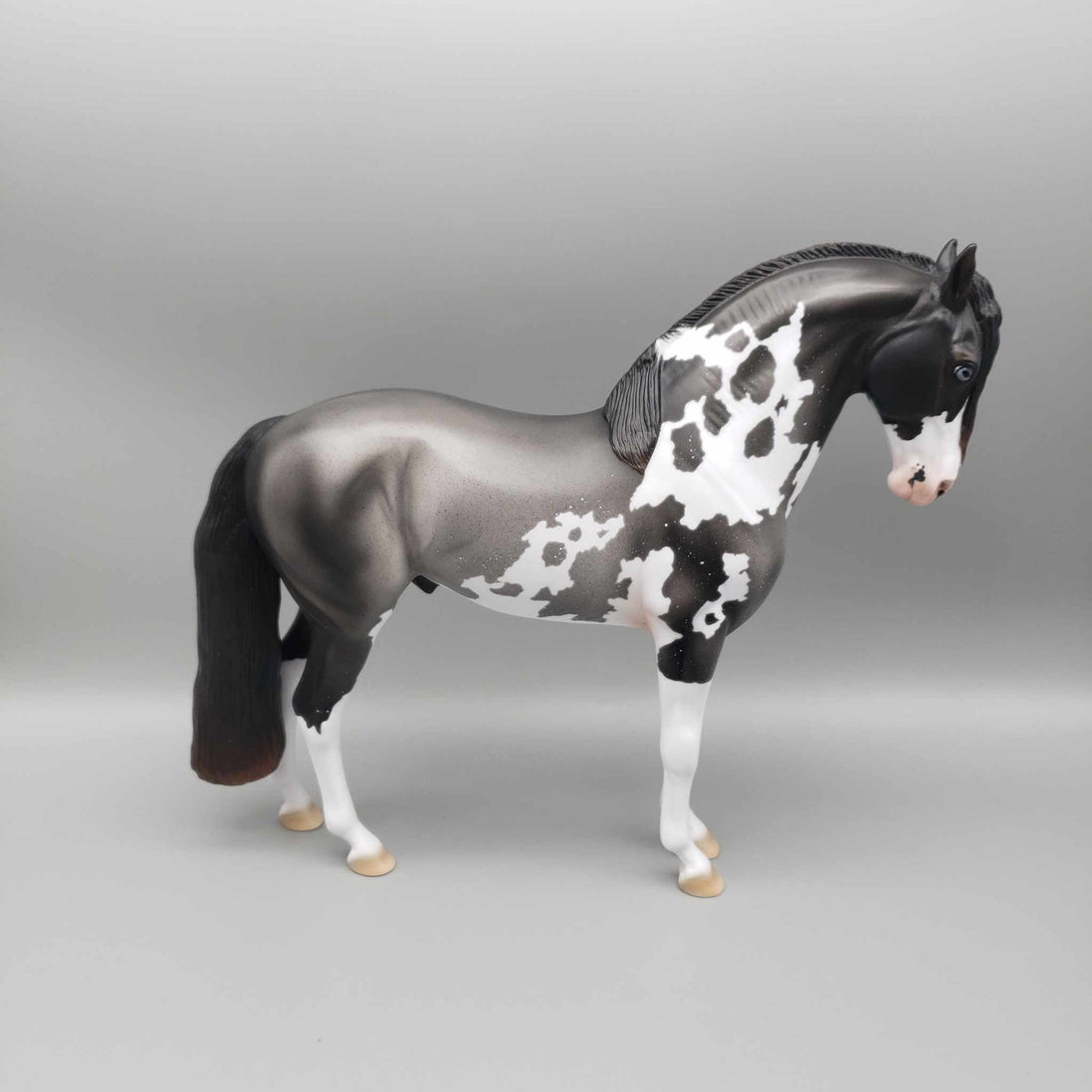 Andalusian Loyalty Release - Bay Andalusian DEU24