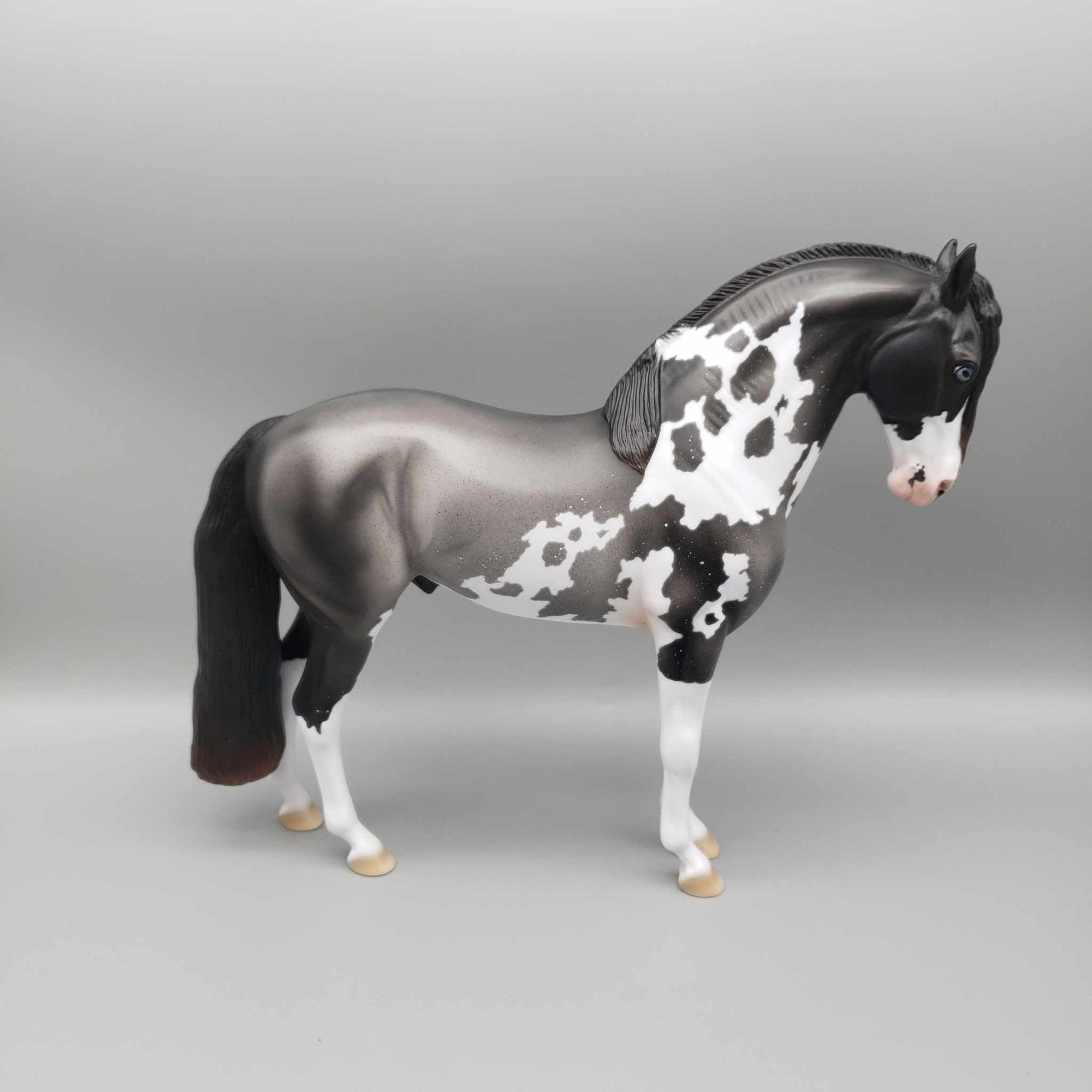 Andalusian Loyalty Release - Bay Andalusian DEU24