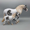 Mini Old Friends SAMPLE Grey Pinto Pebble DraftMare By Ashley Palmer  GERMANY SALE DEU24