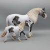 Mini Old Friends SAMPLE Grey Pinto Pebble DraftMare By Ashley Palmer  GERMANY SALE DEU24