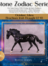 Brachium LE-10 FCM Irish Draught by Ashley Palmer ZS25