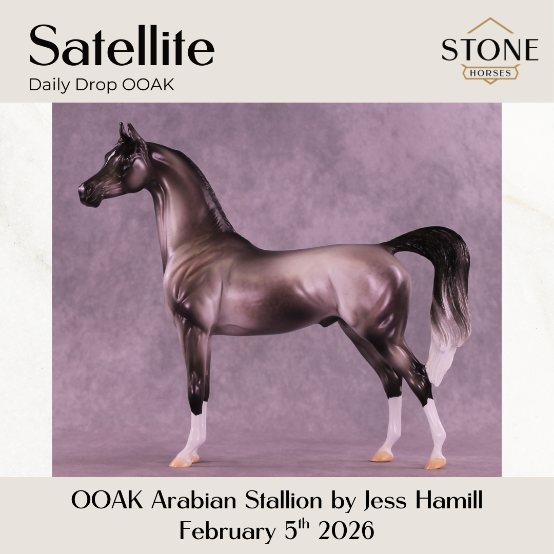 Satellite OOAK Arabian Stallion by Jess Hamill DDOOAKs26