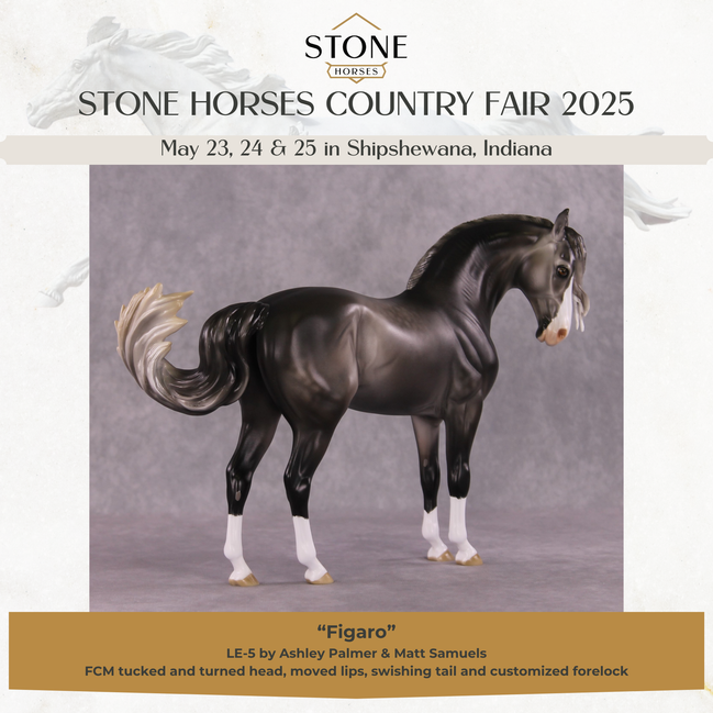 "Figaro" LE-5 EFCM Andalusian by Ashley Palmer SHCF25 Run