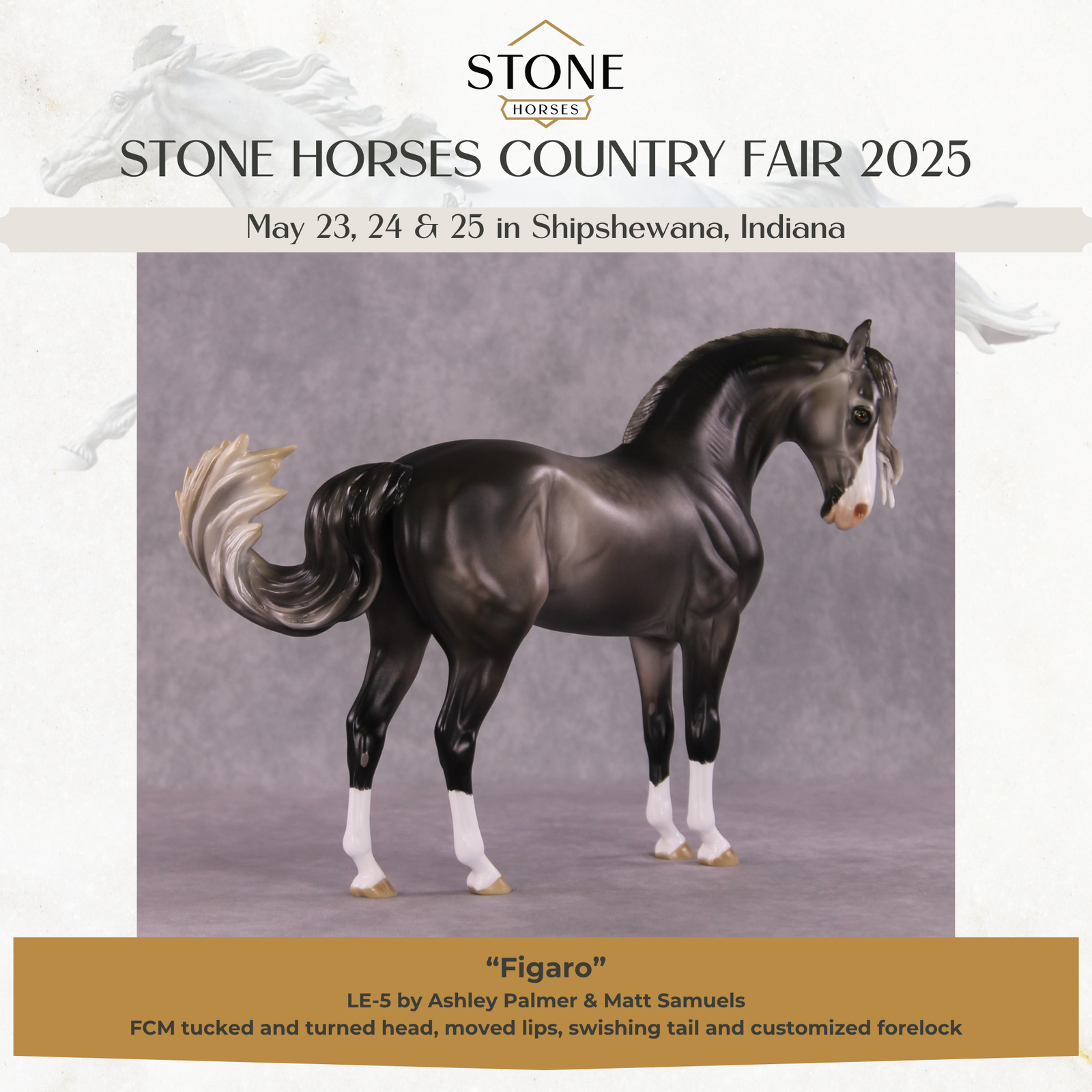 "Figaro" LE-5 EFCM Andalusian by Ashley Palmer SHCF25 Run