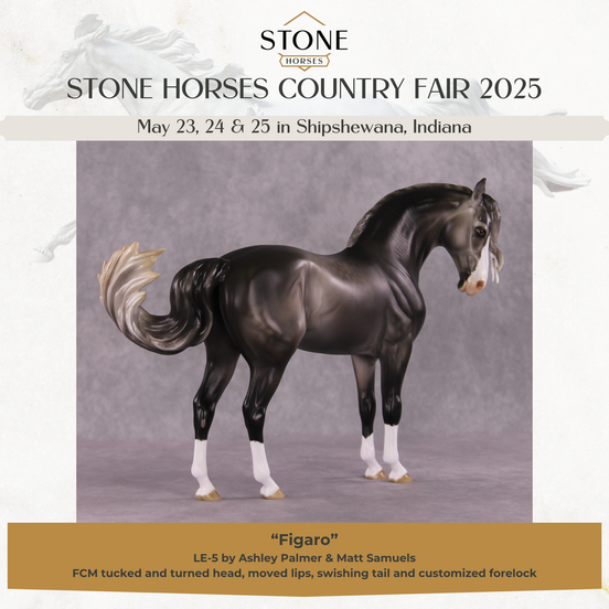 "Figaro" LE-5 EFCM Andalusian by Ashley Palmer SHCF25 Run