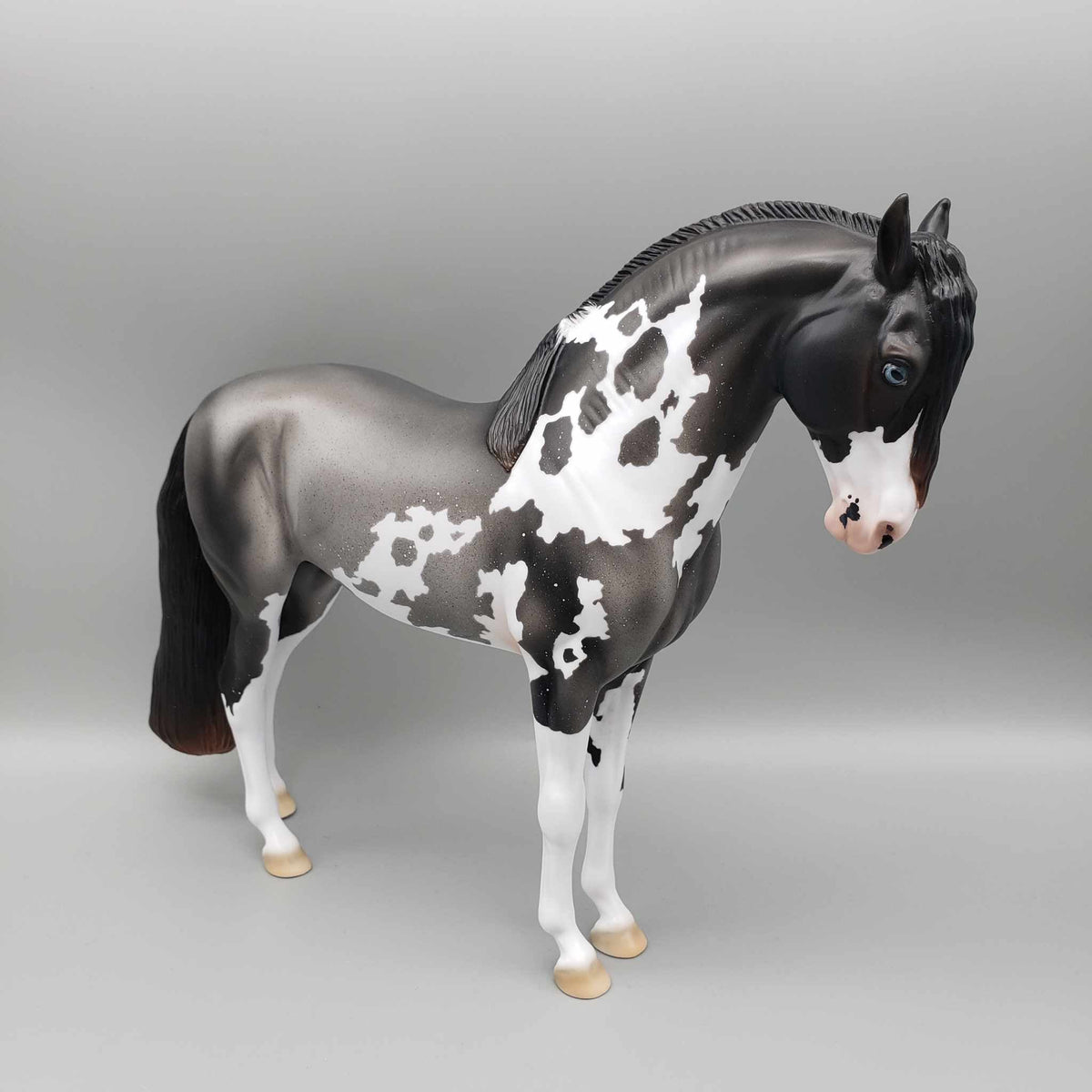 Andalusian Loyalty Release - Bay Andalusian DEU24