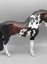 Andalusian Loyalty Release - Bay Andalusian DEU24