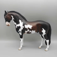 Andalusian Loyalty Release - Bay Andalusian DEU24