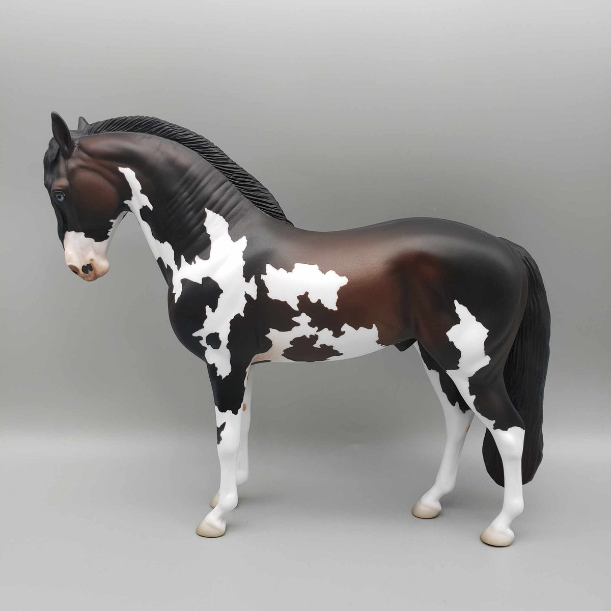 Andalusian Loyalty Release - Bay Andalusian DEU24