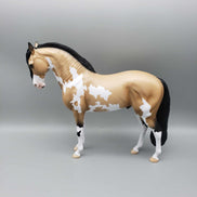 Andalusian Loyalty Release - Bay Andalusian DEU24