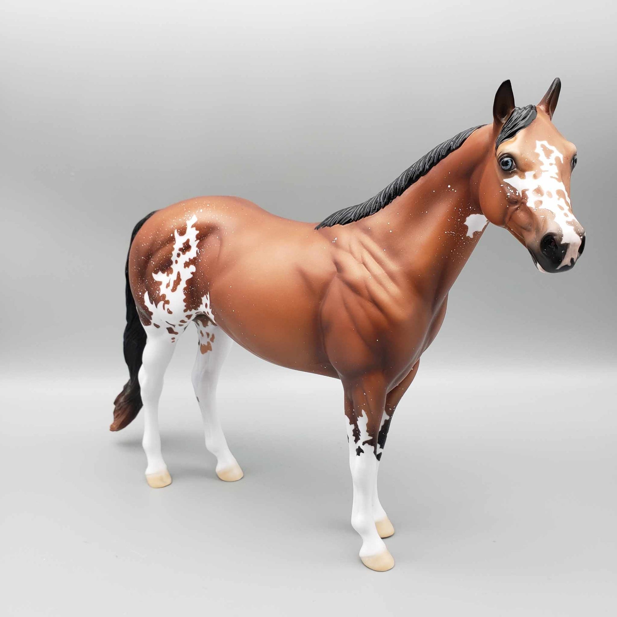 SAMPLE of Mr. Harker Bay Sabino ISH By Ellen Robbins