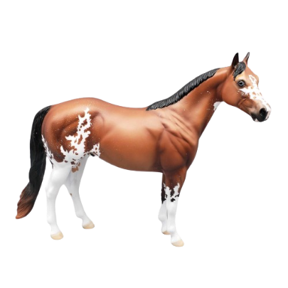 SAMPLE of Mr. Harker Bay Sabino ISH By Ellen Robbins