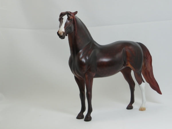 NIXON - OOAK Dark Liver Chestnut Pinned Ear Morgan 2/15